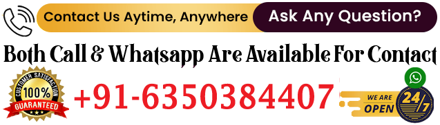 Astrologer Gokul Swami Ji