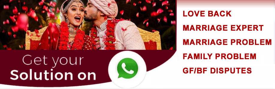 Astrologer Gokul Swami Ji